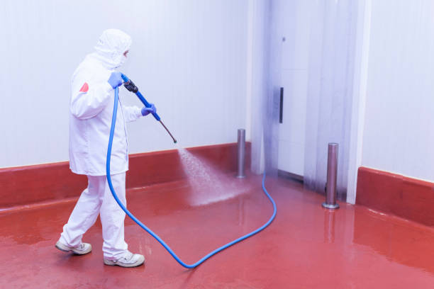 Best Driveway Pressure Washing  in Homestead Meadows South, TX